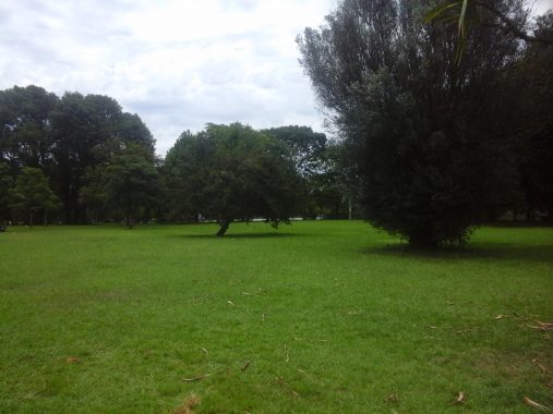 O Parque mais paulista de São Paulo: Ibirapuera