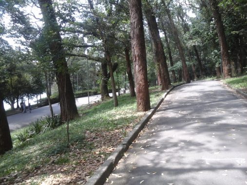 Parque da Aclimação