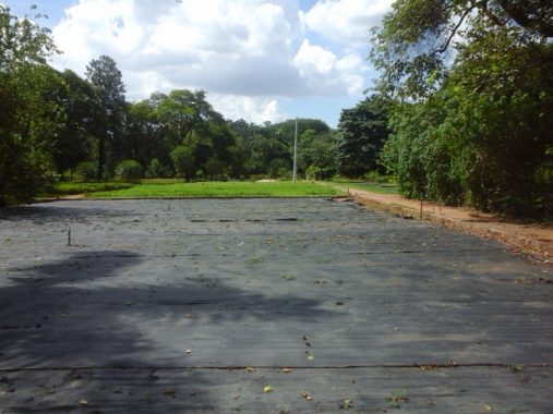 Viveiro Manequinho Lopes – Parque Ibirapuera SP