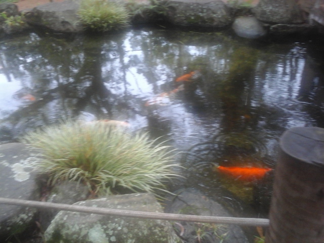 Parque  Profª Lydia Natalizio Diogo