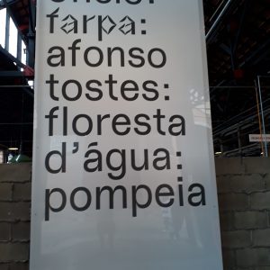 Afonso Tostes: Floresta d’Água