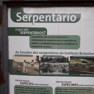 Serpentário-Instituto Butantan
