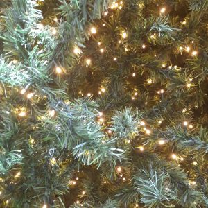 Market Place – Natal 2021