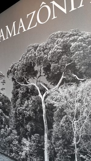 Exposição “Amazônia”, de Sebastião Salgado Sesc Pompéia