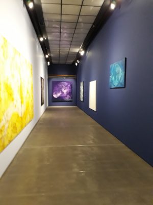 Exposição A Dança das Águas